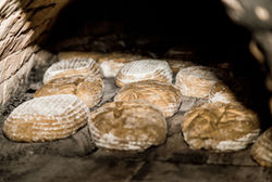 Abenteuer Wagingersee Brotbacken Effner 2