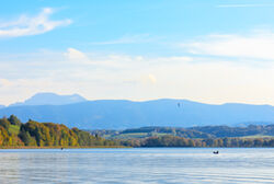 Angeln Am Tachinger See Richard Scheuerecker