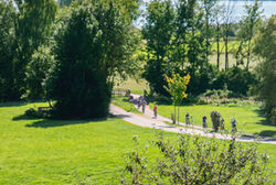 Aussicht Tachinger See Axel Effner