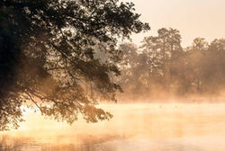 Bader Am Leitgeringersee 7598scheuerecker