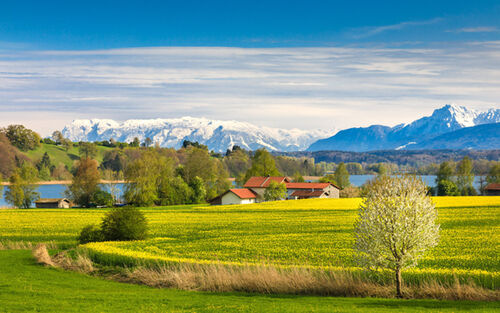 Bergblick Vom Tachinger See Scheuereckerr