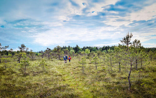 Effner 20250527 165026 Ba