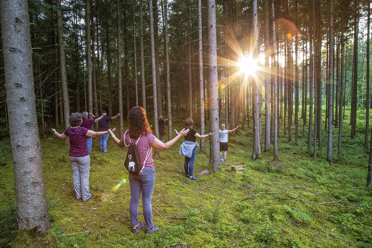 Waldbaden in Bayern fürs Immunsystem