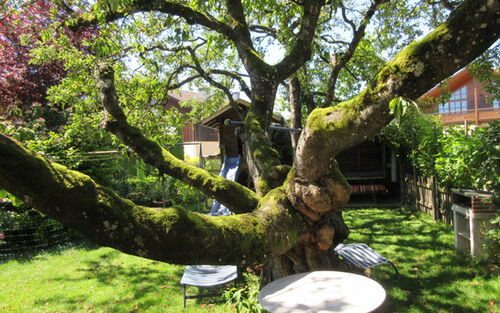 Garten 1