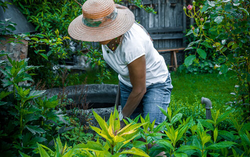 Gartenbaeueringramminger