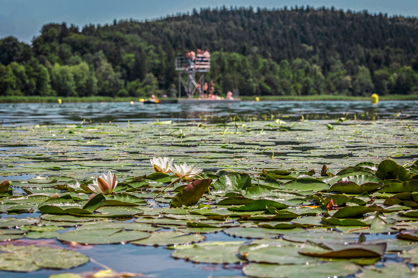 Tachinger See Baden & Entspannen in Oberbayern