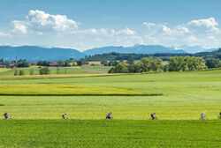 Radfahren Richard Scheuerecker