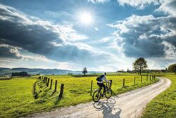 Radlerin Bei Bicheln Richard Scheuerecker
