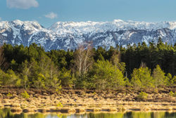 Scheuerecker Untersberg