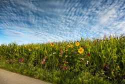 Scheuerecker Wandern 3438