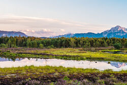 Schoenramer Filz Header Michael Perschl