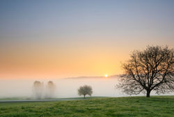 Sonnenaufgangregionwagingersee