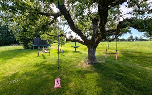 Spielplatz Schaukeln Trampolin