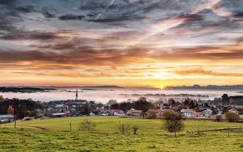 Tachingtengling Mg 3613